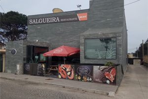 salgueira
