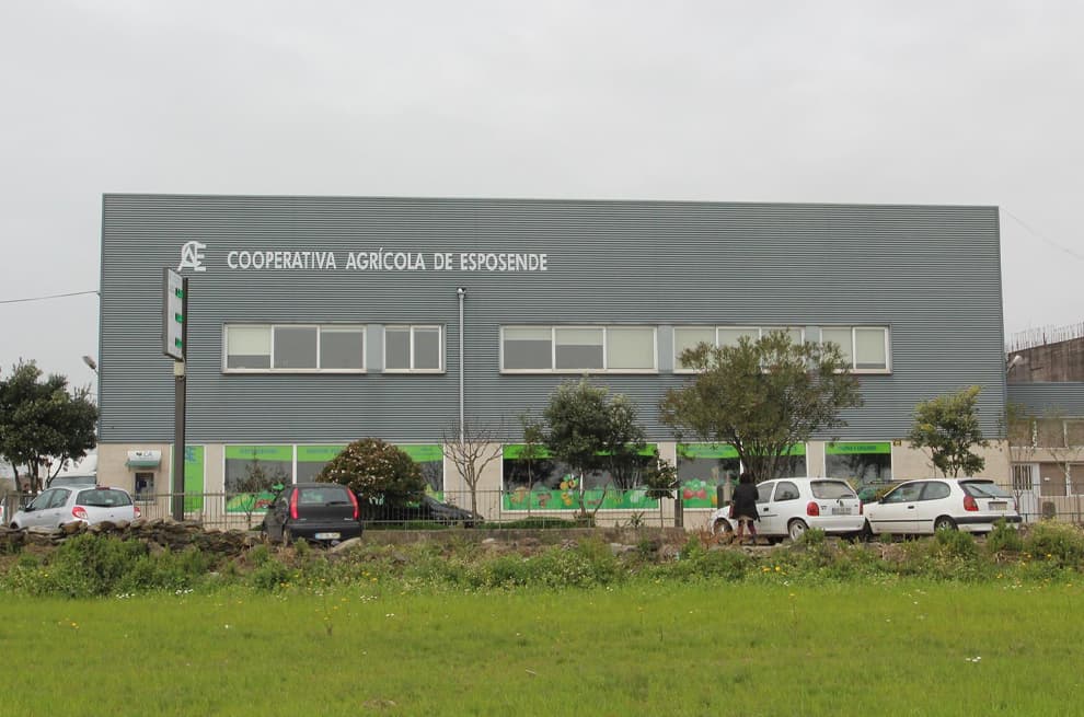 CAE-1.jpg