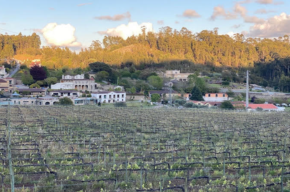 Vinhos e Outros 8 antilhas-1
