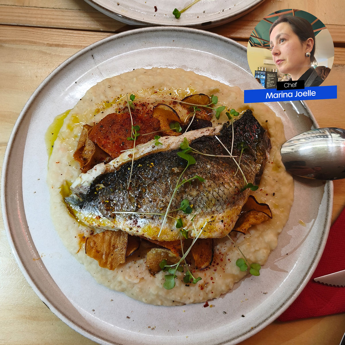 paladar-celestina-msm26