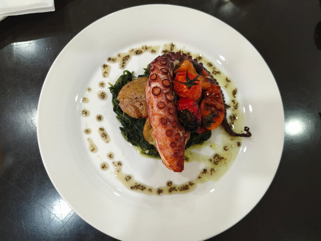 img 20260318 wa0006 1 1024 2500